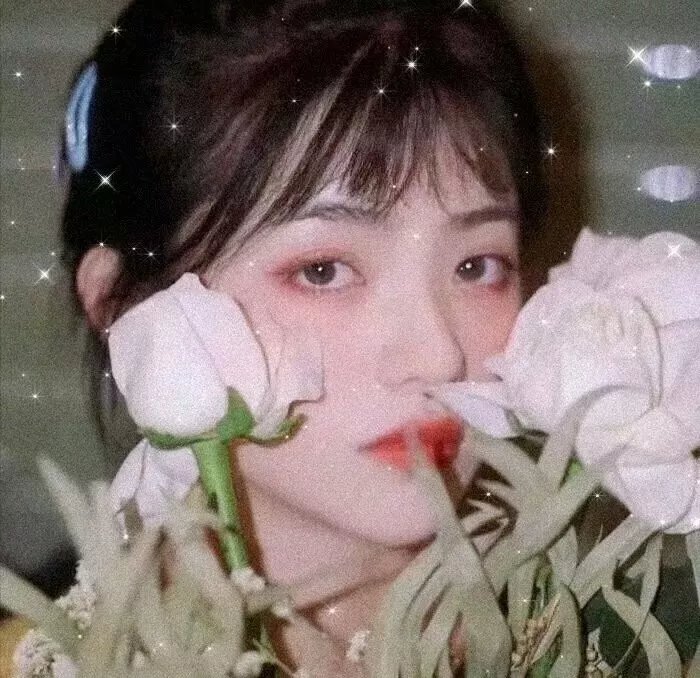 真我无缰2